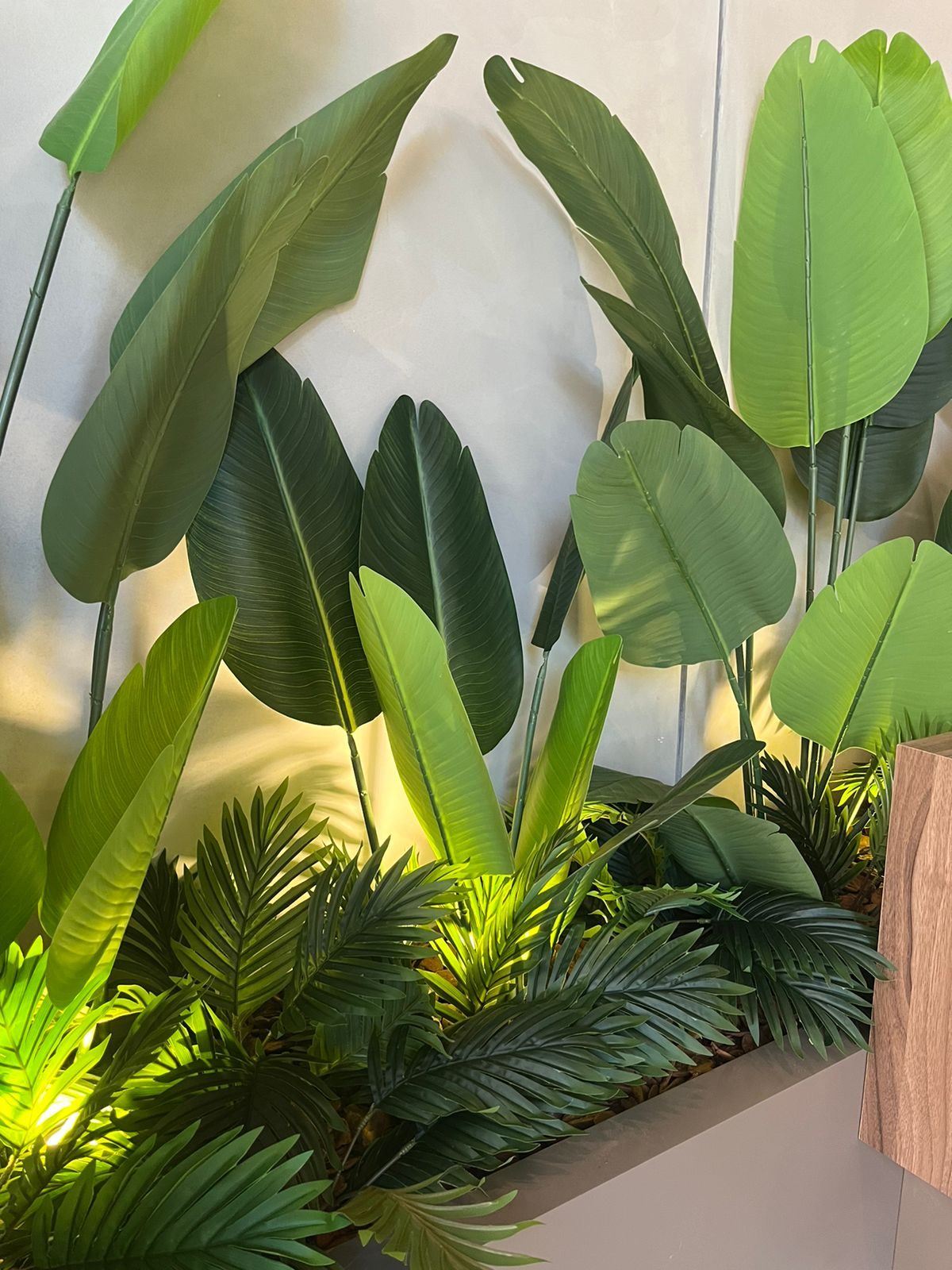 Jardim artificial - Jardim Paulista, São Paulo