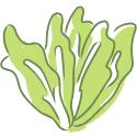 Vegetação nativa