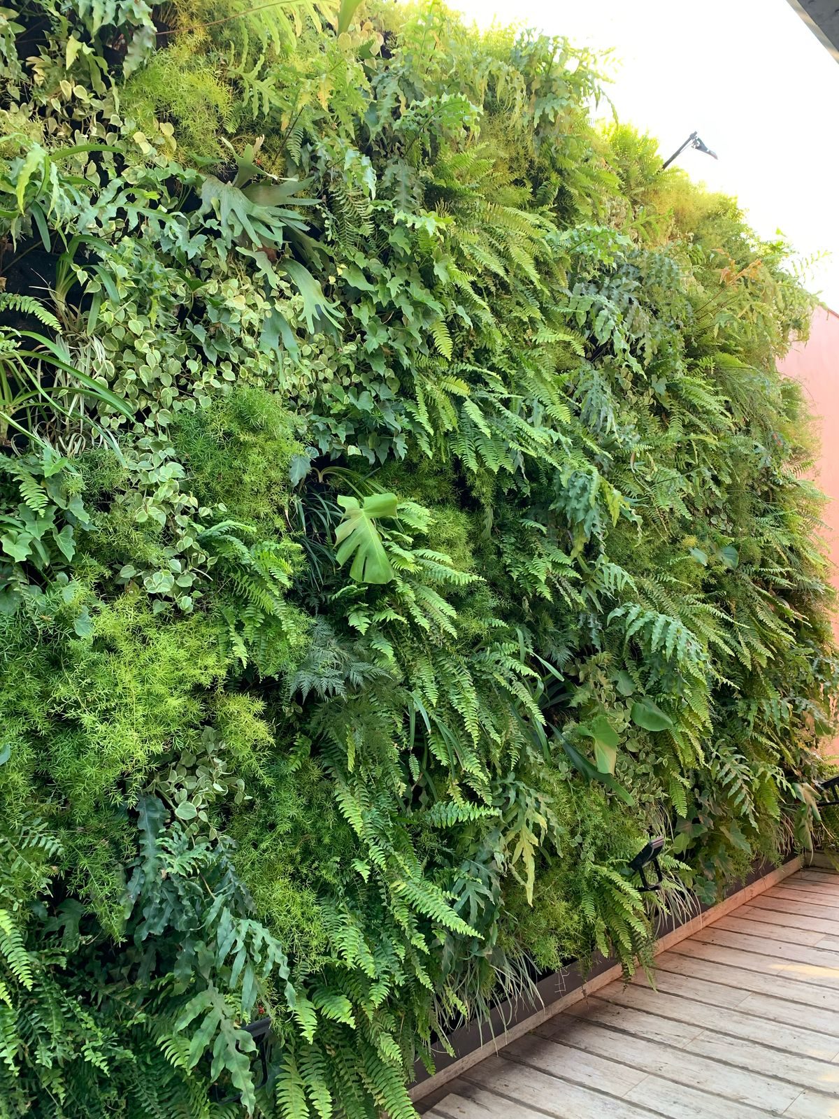 Jardim vertical natural - Brooklin, São Paulo (detalhe)