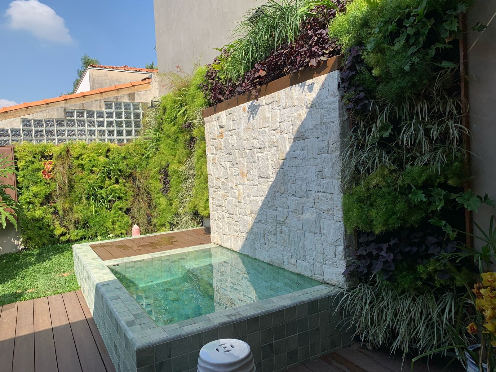 Jardim vertical natural - Brooklin, São Paulo
