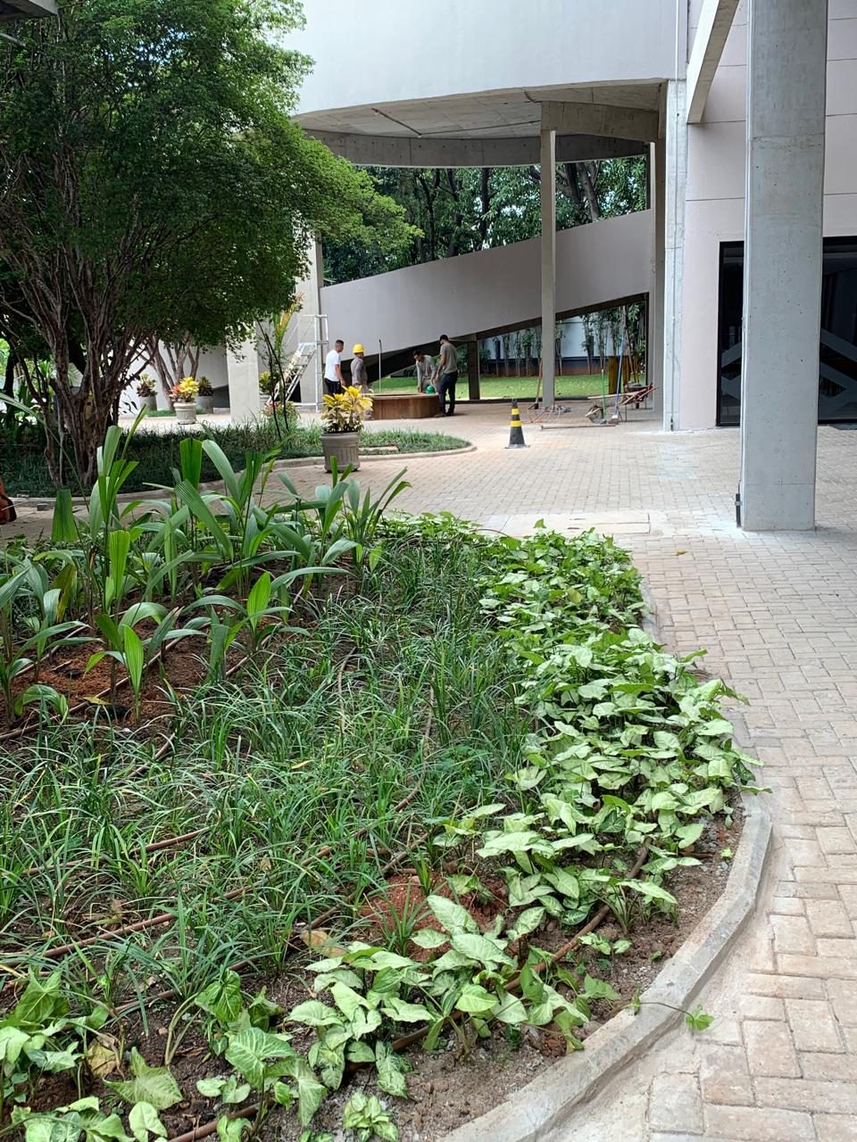 Paisagismo Corporativo - foto 17
