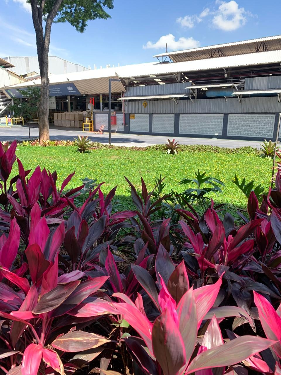 Paisagismo Corporativo - foto 18