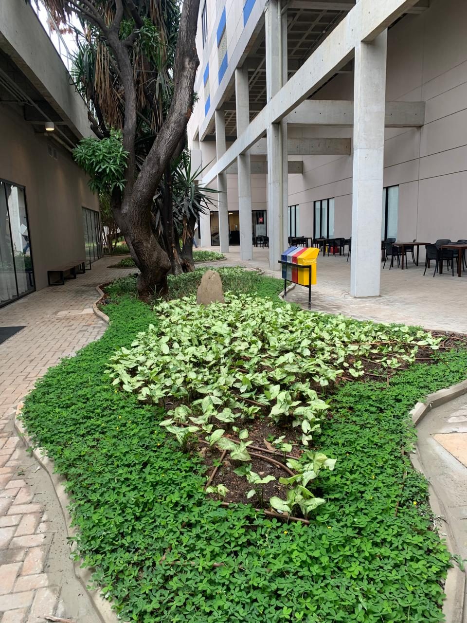 Paisagismo Corporativo - foto 19