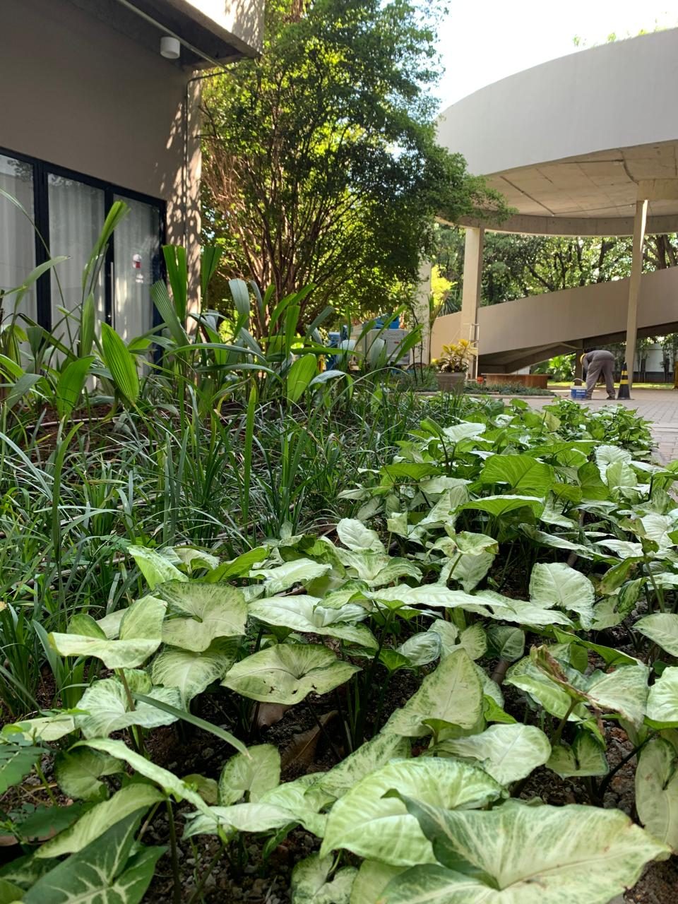 Paisagismo Corporativo - foto 14