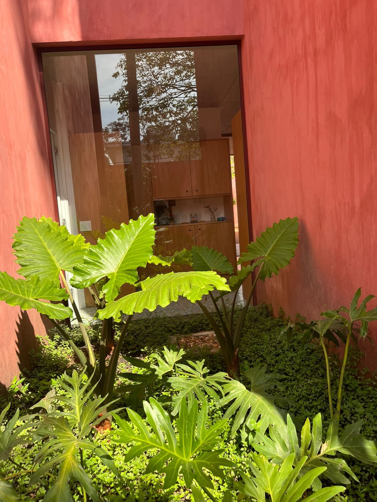 Paisagismo Residencial - foto 16