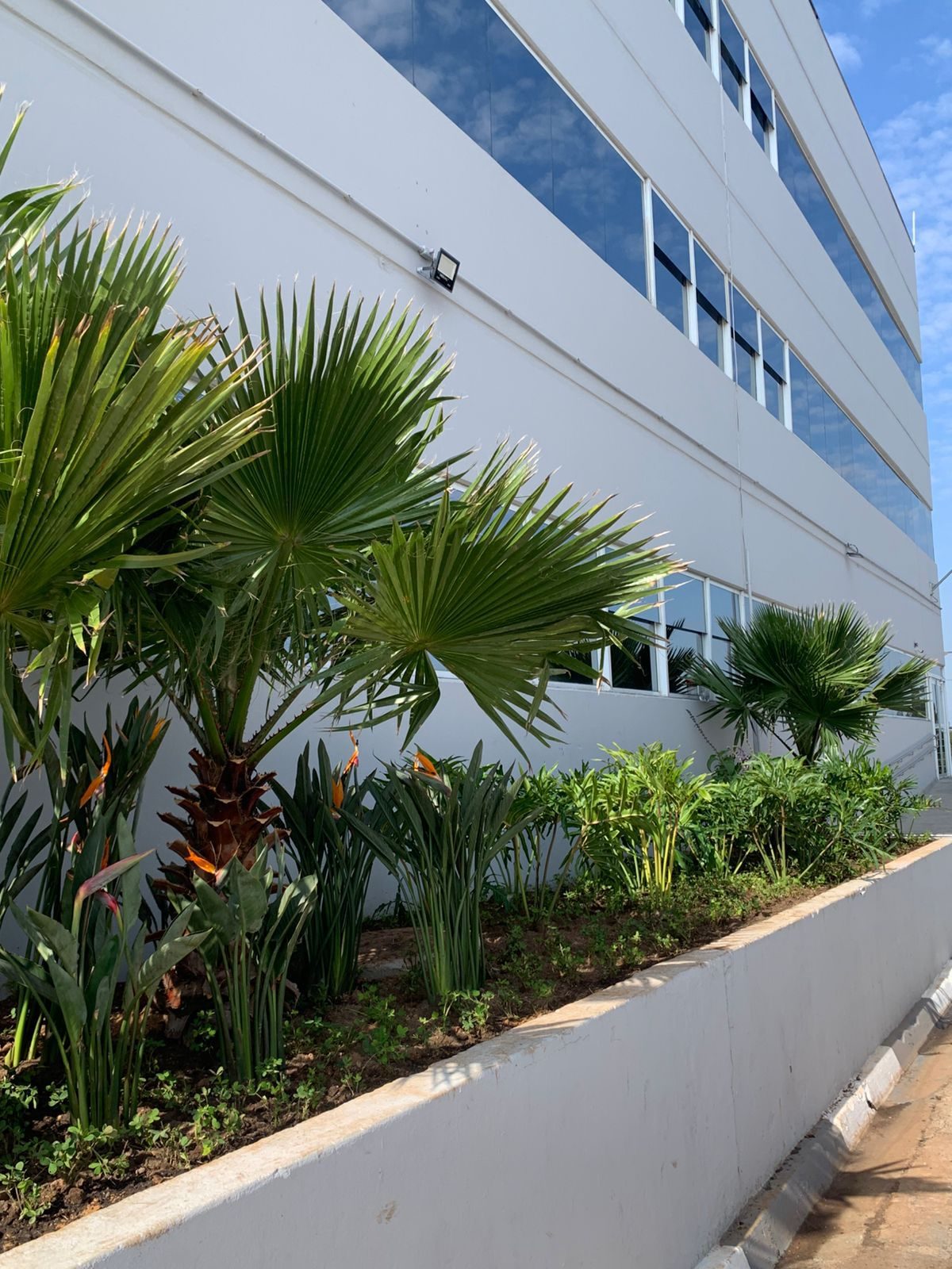 Paisagismo corporativo - Sorocaba