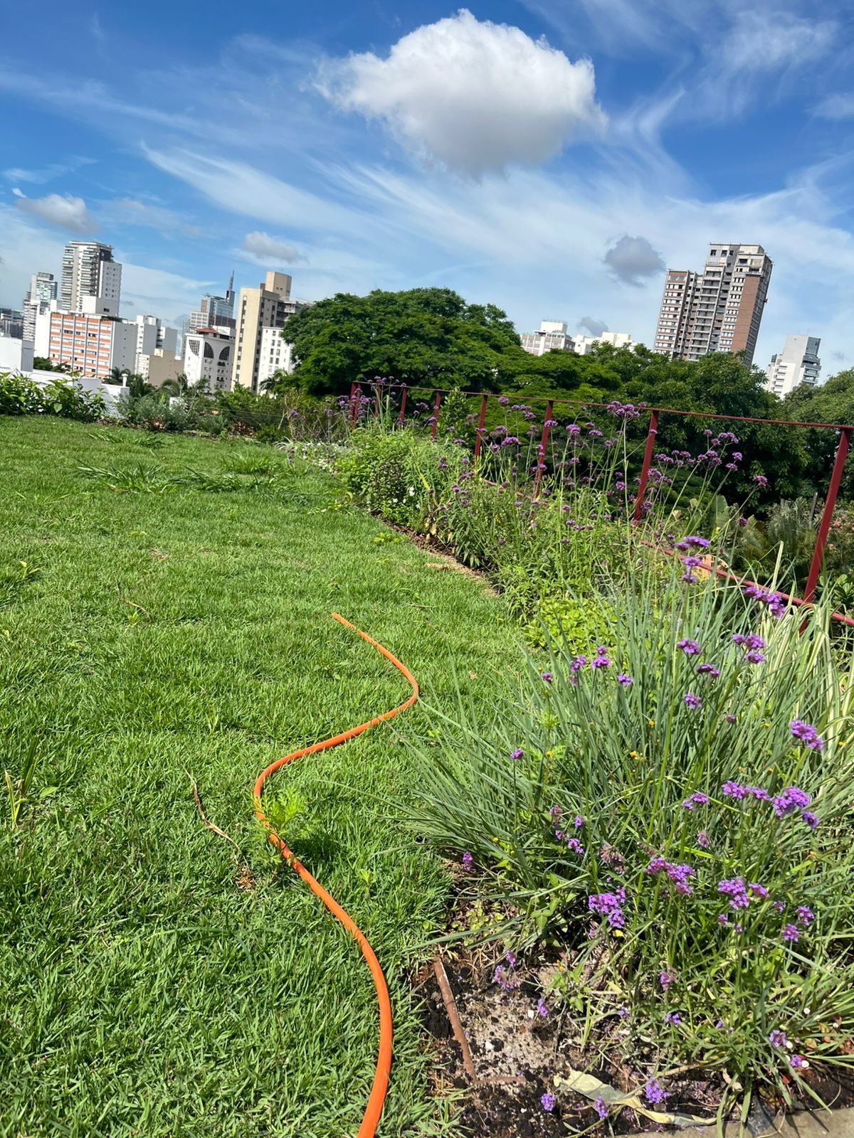 Jardins Sobre Laje - foto 11